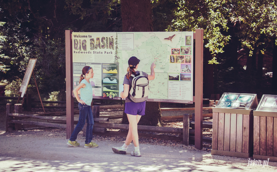 ameryka_usa_big_basin_redwood_state_park-15