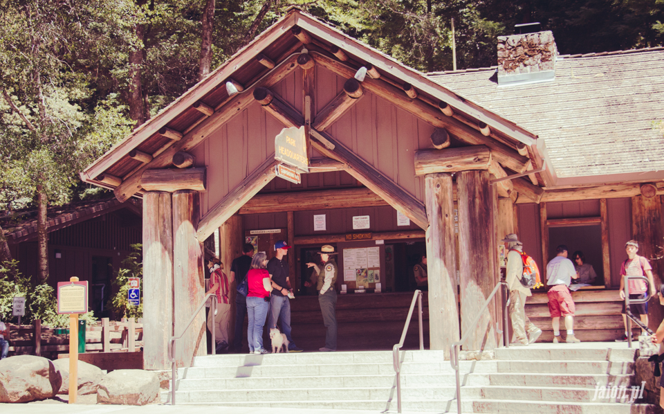 ameryka_usa_big_basin_redwood_state_park-16