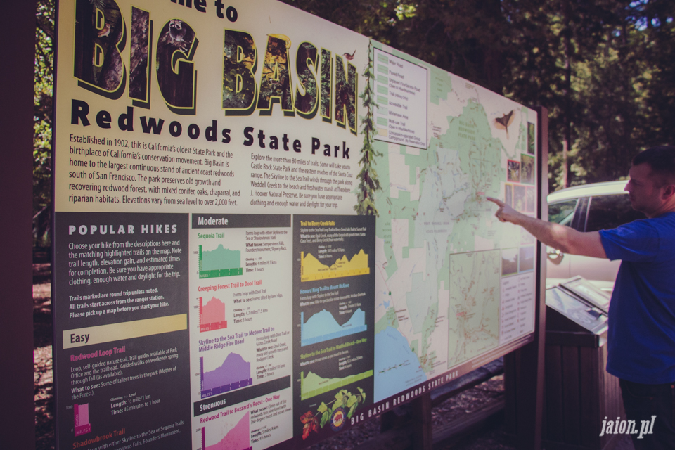 ameryka_usa_big_basin_redwood_state_park-24