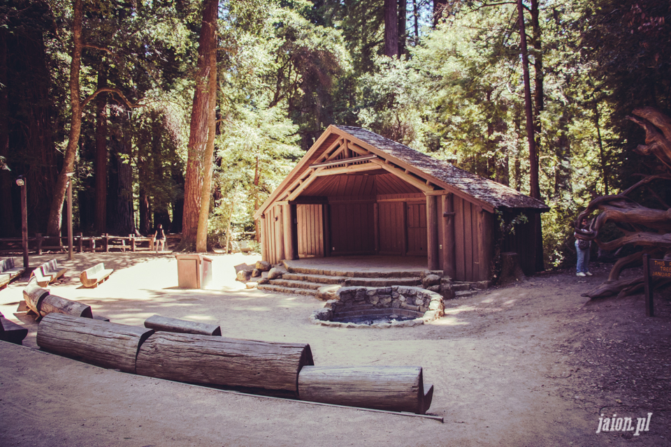 ameryka_usa_big_basin_redwood_state_park-26