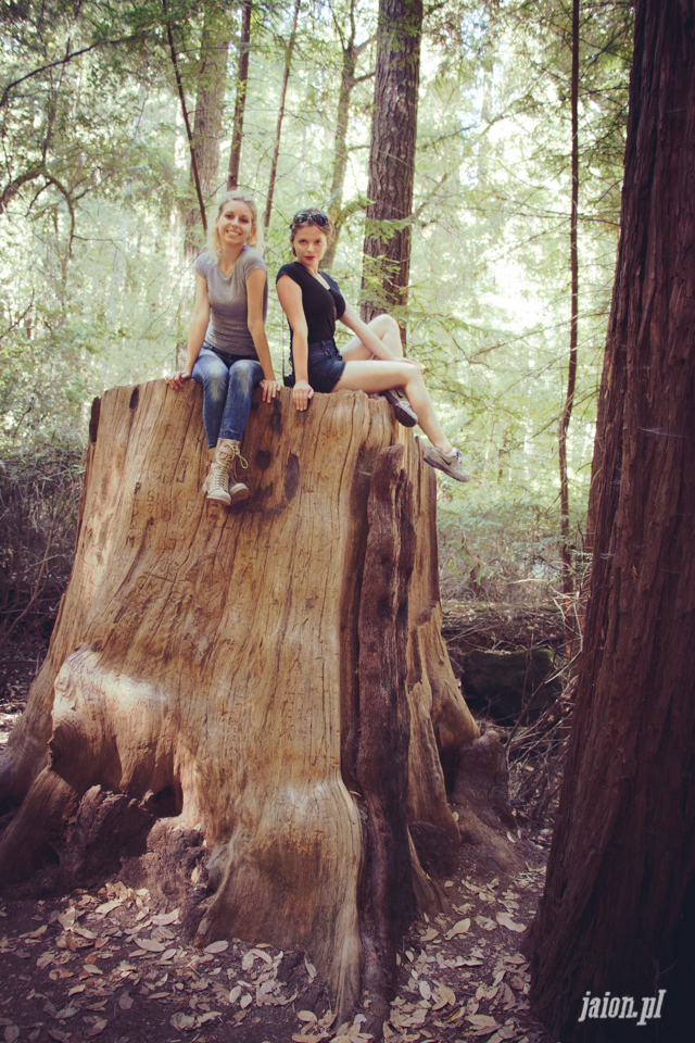 ameryka_usa_big_basin_redwood_state_park-32