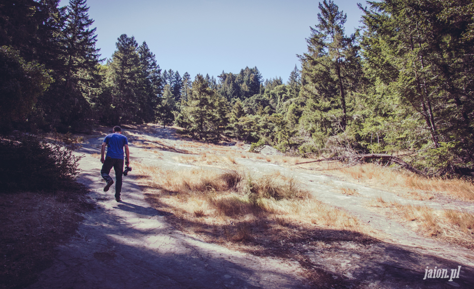 ameryka_usa_big_basin_redwood_state_park-40