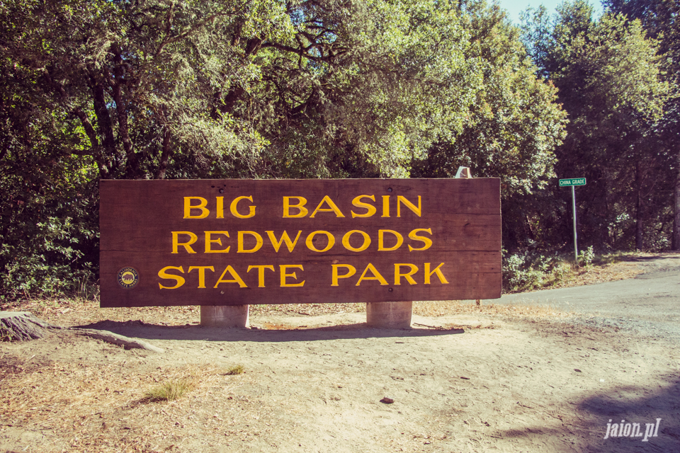 ameryka_usa_big_basin_redwood_state_park-46