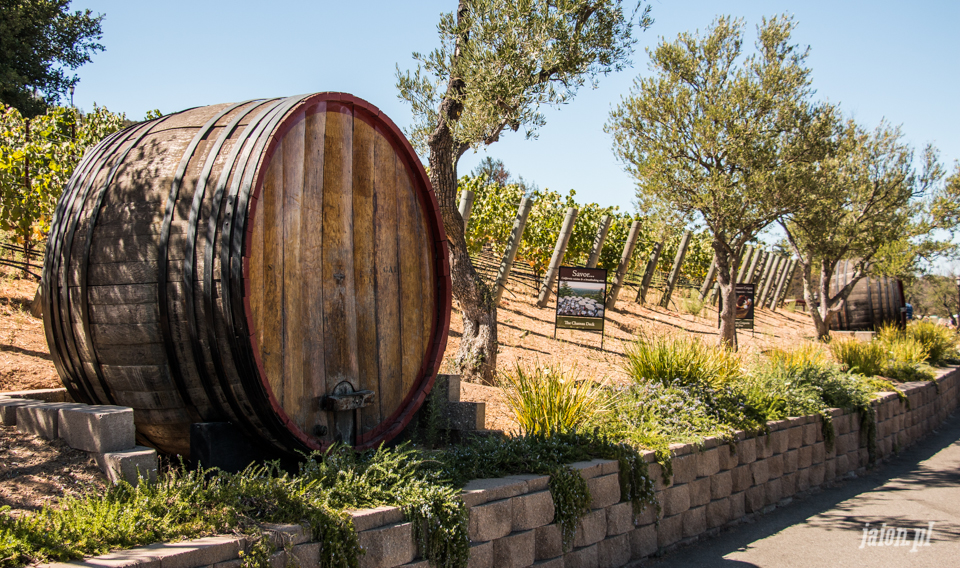 ameryka_usa_wina_kalifornijskie_mountain_winery_santa_cruz-11