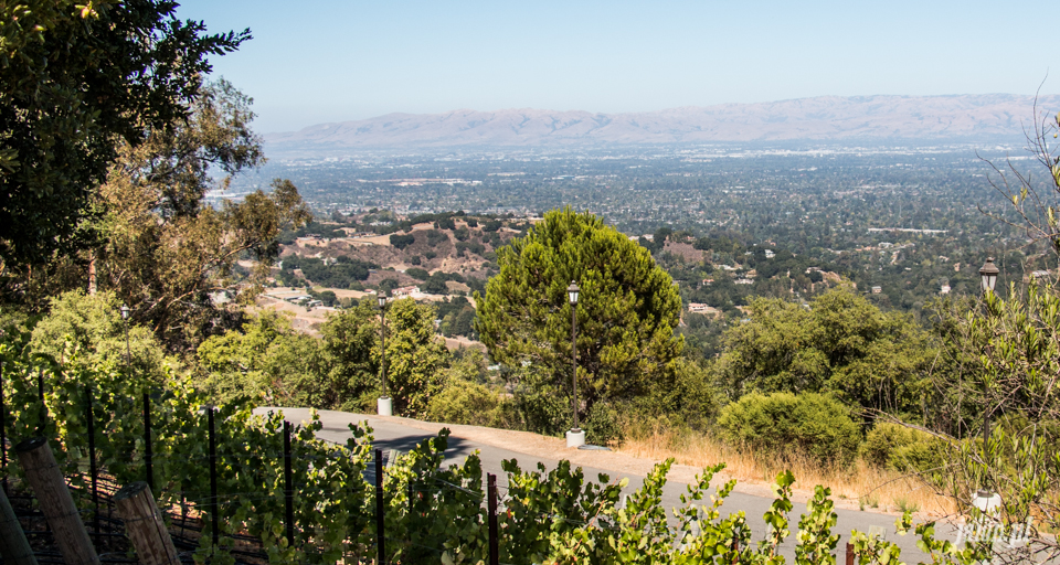 ameryka_usa_wina_kalifornijskie_mountain_winery_santa_cruz-7