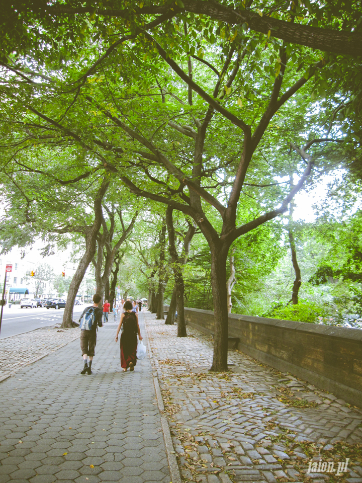 nowy-jork-usa-5th-ave-central-park-2